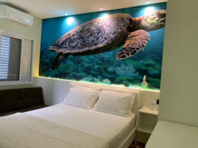 Suite Turtle